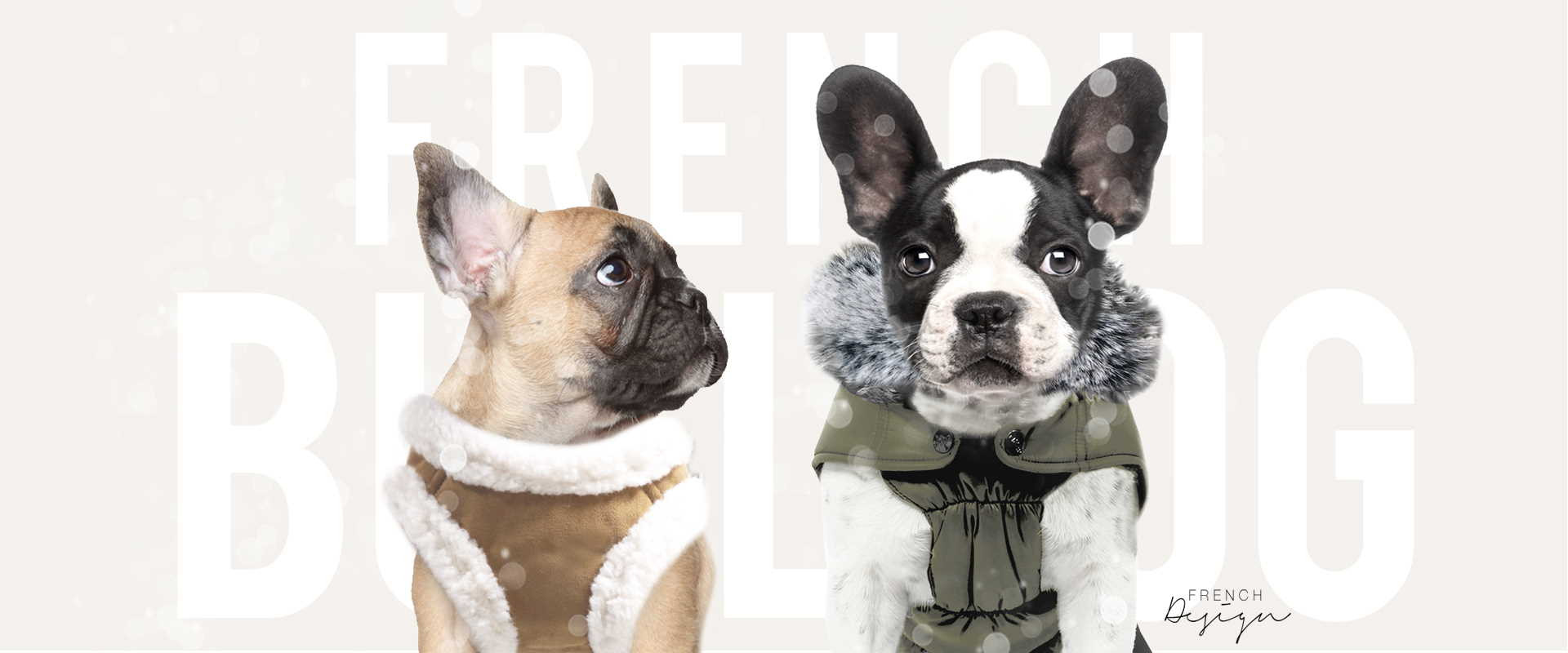 Milk & Pepper, Fashion And Accessories For bulldogs and pugs-  Winter 2022